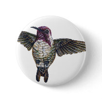 Costa's Hummingbird buttons