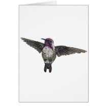 Costa's Hummingbird cards