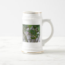 Costa's Hummingbird Coffee Mugs