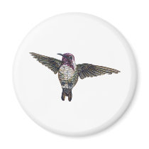 Costa's Hummingbird magnets