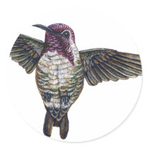 Costa's Hummingbird stickers by tshirtdart Costa's Hummingbird stickers