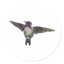 Costa's Hummingbird stickers by tshirtdart Costa's Hummingbird stickers