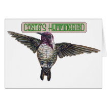 Costas Hummingbird with Banner cards