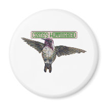Costas Hummingbird with Banner magnets