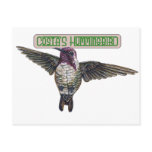0 - Customize this! Just click 0 - Customize this! Just click