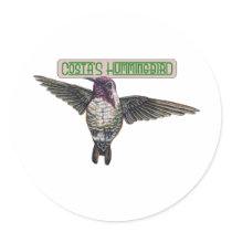 Costas Hummingbird with Banner stickers by tshirtdart Costas Hummingbird with Banner stickers