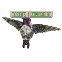 Costas Hummingbird with Banner t-shirts