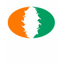 Cote d'Ivoire Gnarly Flag T-Shirt