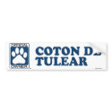 Coton De Tulear Blue bumper stickers by GenuineDogOwner Coton De Tulear Blue bumper stickers