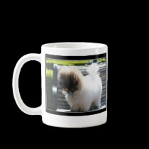 Coton de Tulear Puppy mug mugs