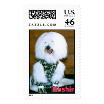Coton des Tulear postage by SalesAcademy Coton des Tulear postage
