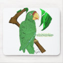 Cotorra Puertorriqueña/Puerto Rican Parrot mousepads