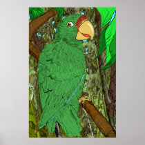 Cotorra Puertorroqueña/Puertorican Parrot Print