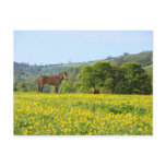 Cotswolds, UK Post Cards