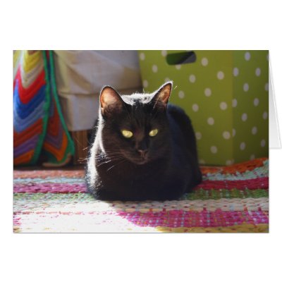 Cottage Comfort" Cat Photography cards