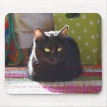 "Cottage Comfort" Cat Photography Mousepad