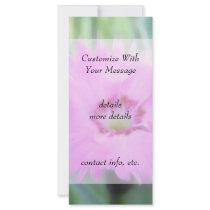 Cottage Pinks - Dianthus Rack Cards