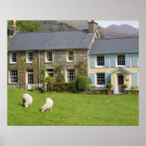 Cottages, Beddgelert, Gwynedd, Wales Print