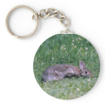 Cotten tail Rabbit Key Chain