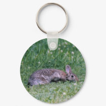 Cotten tail Rabbit Key Chain keychains