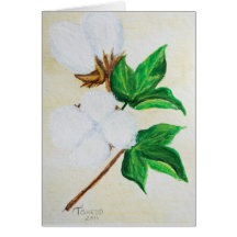 Cotton Boll Botanical 1 Greeting Card