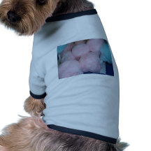 COTTON CANDY PET CLOTHING