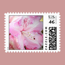 Cotton Candy Pink Azaleas stamps