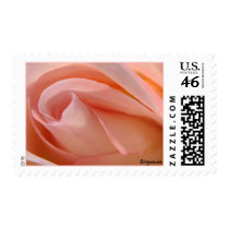 Cotton Candy Rose Bud Postage
