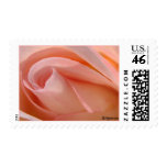 Cotton Candy Rose Bud Postage