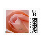 Cotton Candy Rose Bud Small Postage Stamps
