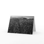 Cotton field, into sun near El Centro, 1966 Greeting Card