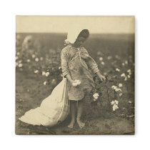 Cotton Field magnets