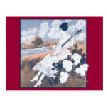 Cotton Field Postcard