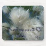 Cotton grass