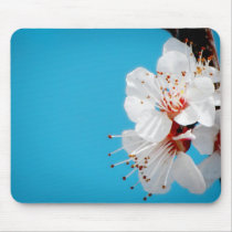 Cotton Mousepad by starlingphotos Cotton Mousepad