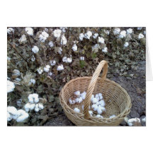 Cotton Pickin' Basket Cards