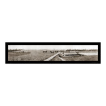 Cotton Plantation GA Photo 1917 posters by lc_panoramicphotos Cotton Plantation GA Photo 1917 posters