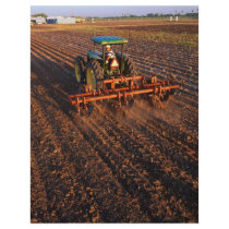 Cotton test field flyers