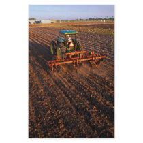 Cotton test field stationery by GPArkive Cotton test field stationery