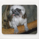 COTTON-TOP TAMARIN, mousepad by LoisRV COTTON-TOP TAMARIN, mousepad