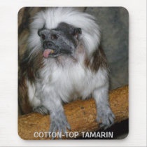 COTTON-TOP TAMARIN, mousepad
