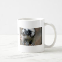 Cotton-Top Tamarin mugs