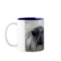 Cotton-Top Tamarin mugs by ForestPhoto Cotton-Top Tamarin mugs