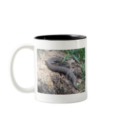 Cottonmouth Snake Basking mug