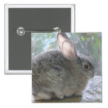 cottontail pins