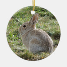 Cottontail Rabbit Christmas Ornaments