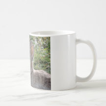 Cottontail Rabbit Coffee Mugs