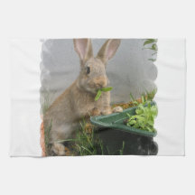 Cottontail Rabbit Kitchen Towel