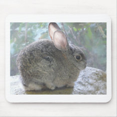 cottontail rabbit mousepad