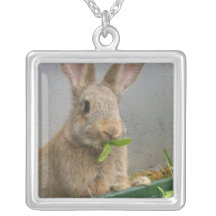 Cottontail Rabbit Necklace